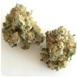 Шишки "White Widow"  (Белая вдова)  Гидропоника -  Бошка VHQ в Гусеве