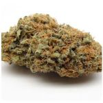 Шишки AK47 (Гидропоника, Бошка) VHQ в Гусеве Шишки AK47 (Гидропоника, Бошка) VHQ в Гусеве