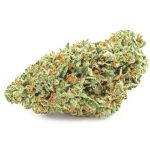 Шишки OG Kush (Гидропоника, бошки) VHQ в Гусеве Шишки OG Kush (Гидропоника, бошки) VHQ в Гусеве